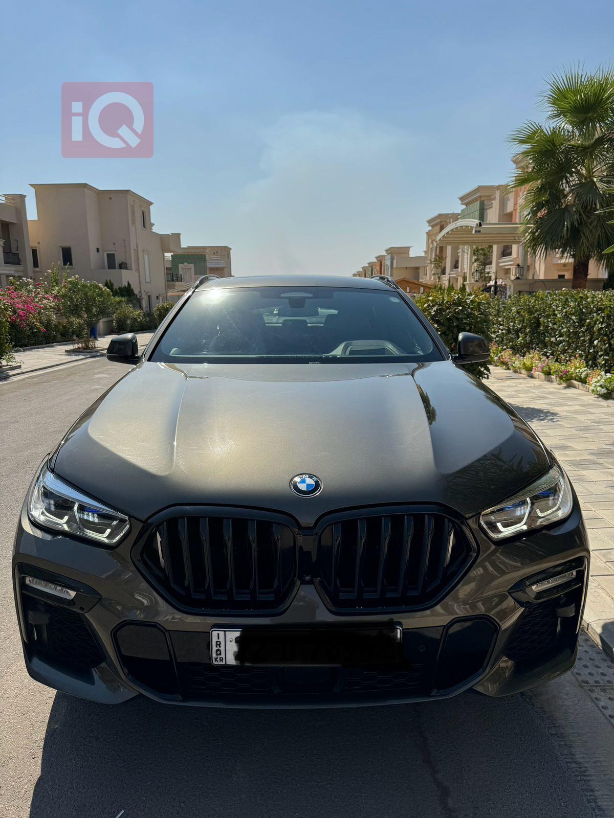 BMW X6
